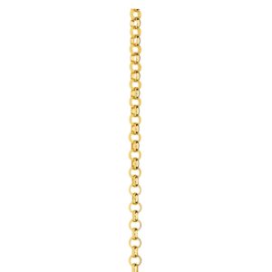 Yellow 9 Carat Gold Permanent Jewellery - Belcher