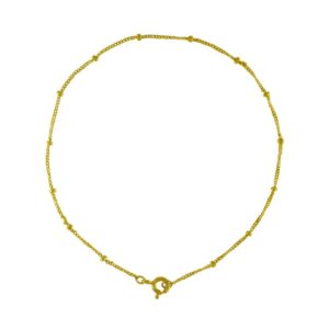 Gold Filled - Mamoncillo Anklet