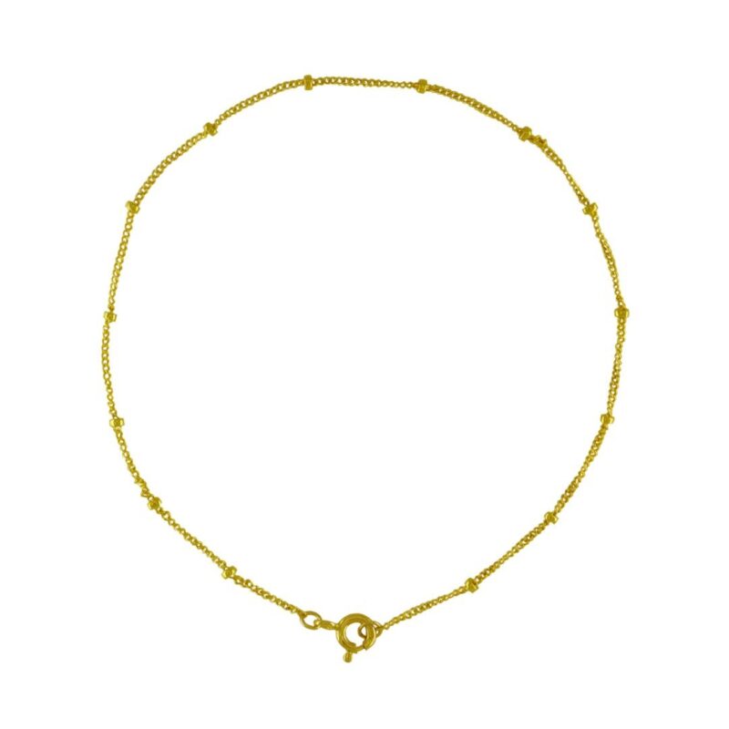 Gold Filled - Mamoncillo Anklet