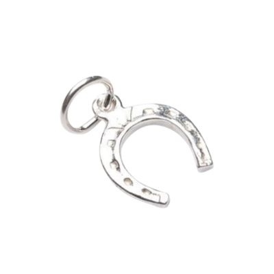 Horseshoe Charm – Good Luck by Serendipity Jewelry — handcrafted permanent jewellery chain — Serendipity Jewelry