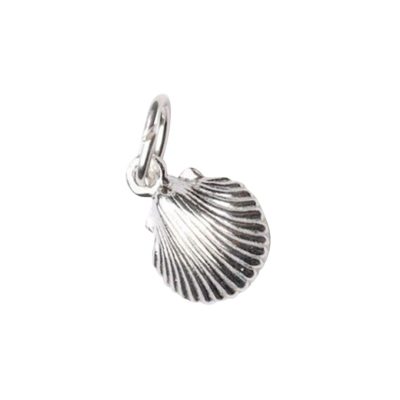 Shell Charm – Beach Vibes by Serendipity Jewelry — handcrafted permanent jewellery chain — Serendipity Jewelry